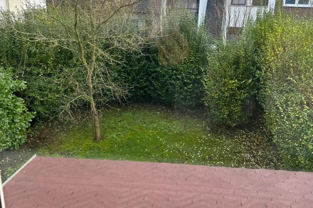 Kleines Haeuschen In Cadzand-Bad Dış mekan fotoğraf