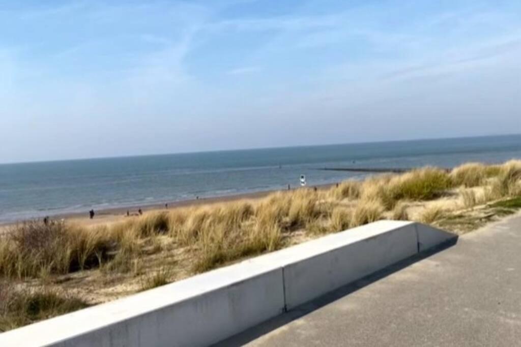 Kleines Haeuschen In Cadzand-Bad Dış mekan fotoğraf